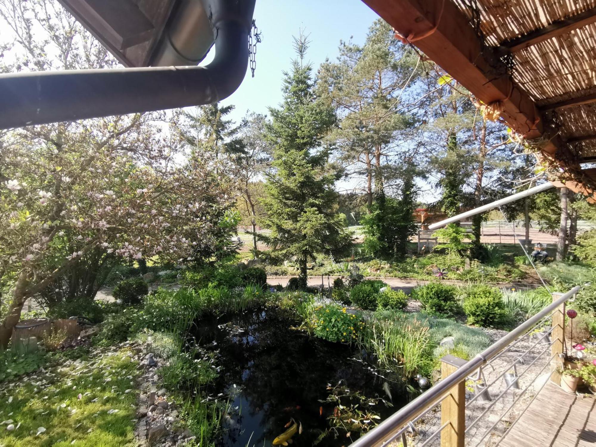 Studio Und Apartment Auf Dem Pferdehof Burgpreppach Εξωτερικό φωτογραφία