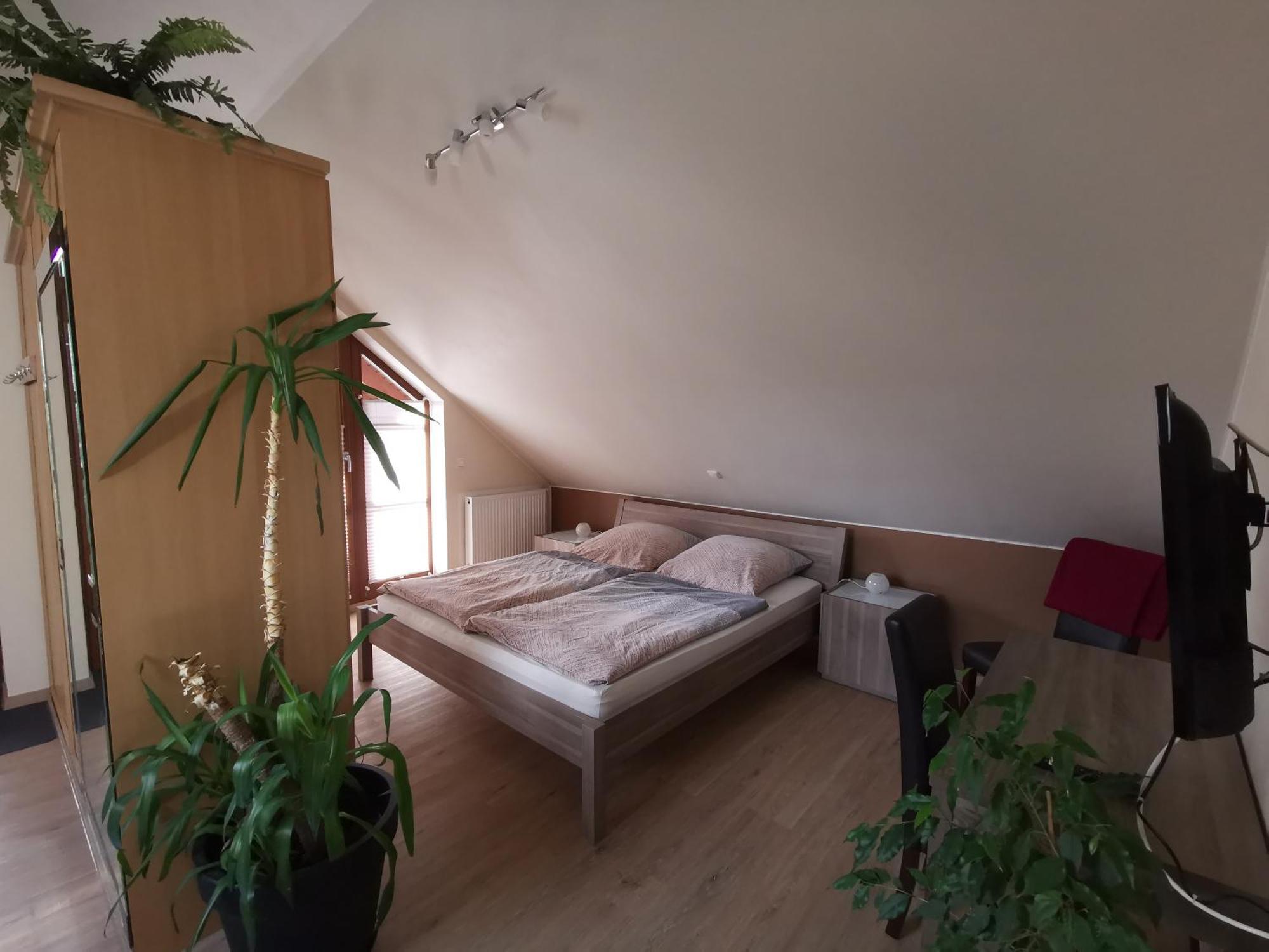 Studio Und Apartment Auf Dem Pferdehof Burgpreppach Εξωτερικό φωτογραφία